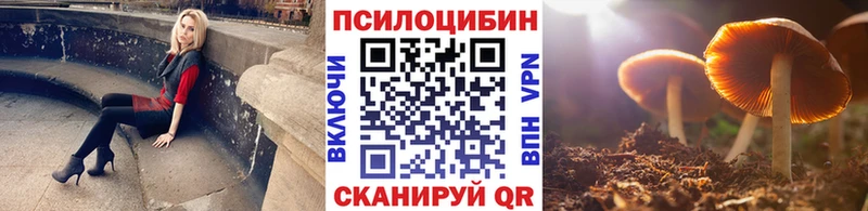 закладка Новоржев Галлюциногенные грибы мицелий